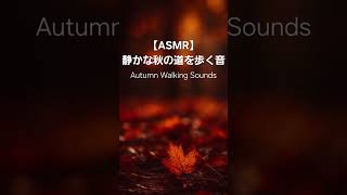 【ASMR】秋の道を歩く静かな音｜Soft Autumn Walking Sounds