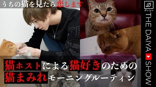 猫ホストによる猫好きのための猫まみれモーニングルーティン