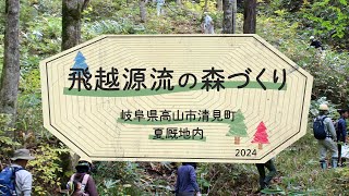飛越源流の森づくり 2024