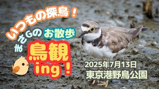 2025年7月13日東京港野鳥公園