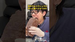 巨大チョコマシュマロ作って食べさせてみた #おーがすと #イケメン #ドッキリ #チョコマシュマロ #ハリボー