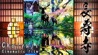 長寿寺 Chojyuji/Cinematic film/SONY α7sⅲ×FE20-70mm F4/Japan