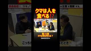 Do bears eat people? What do bears think after an attack? #Totele #TohokuTV #Tohoku #Bear #Bear